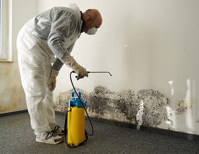 restoration business employee performing mold remediation